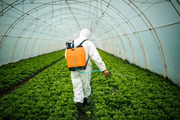 Best Best Pest Control Companies  in Baldwyn, MS