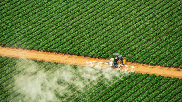Best Cockroach Control Services  in Baldwyn, MS