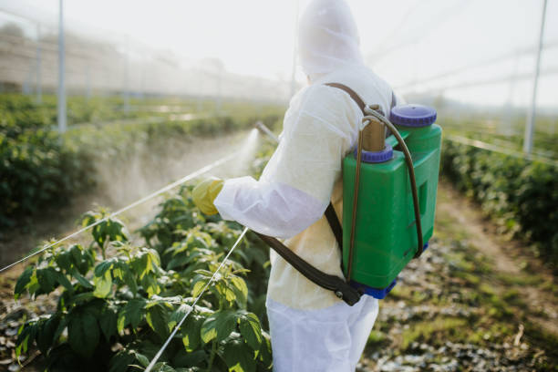 Best Pest Control Near Me in Baldwyn, MS
